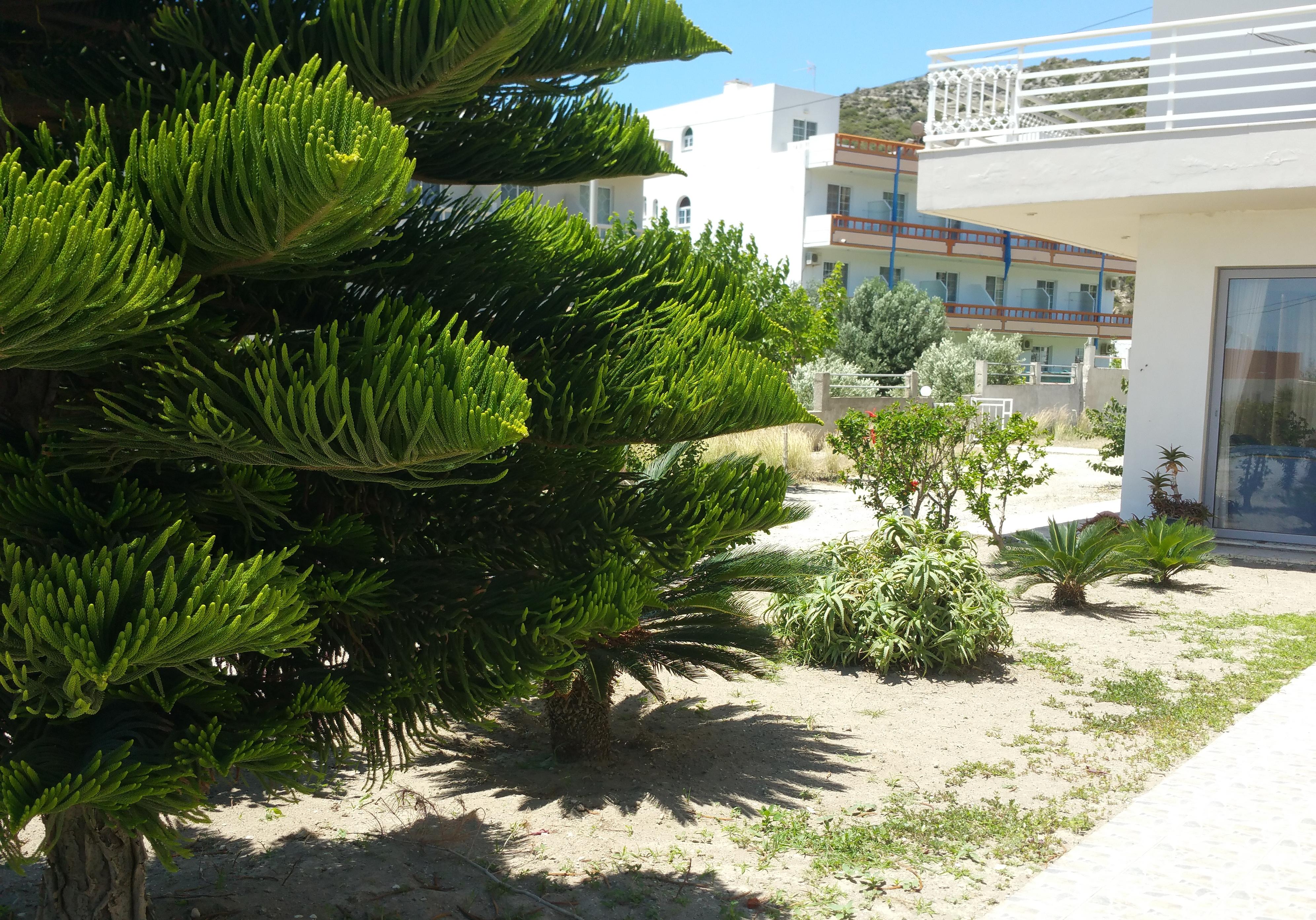 Faliraki Dream Studios & Apartments Exteriér fotografie
