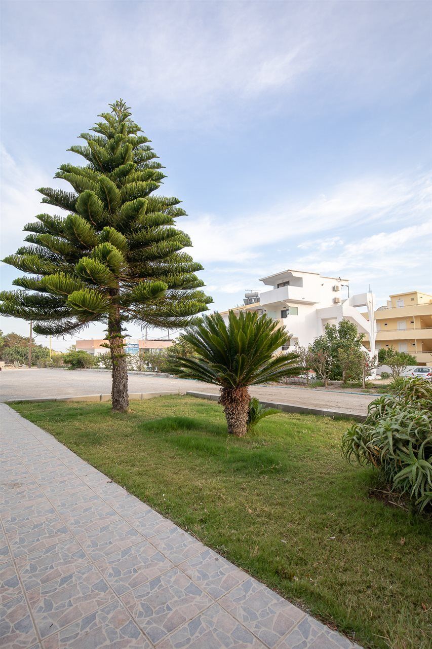Faliraki Dream Studios & Apartments Exteriér fotografie